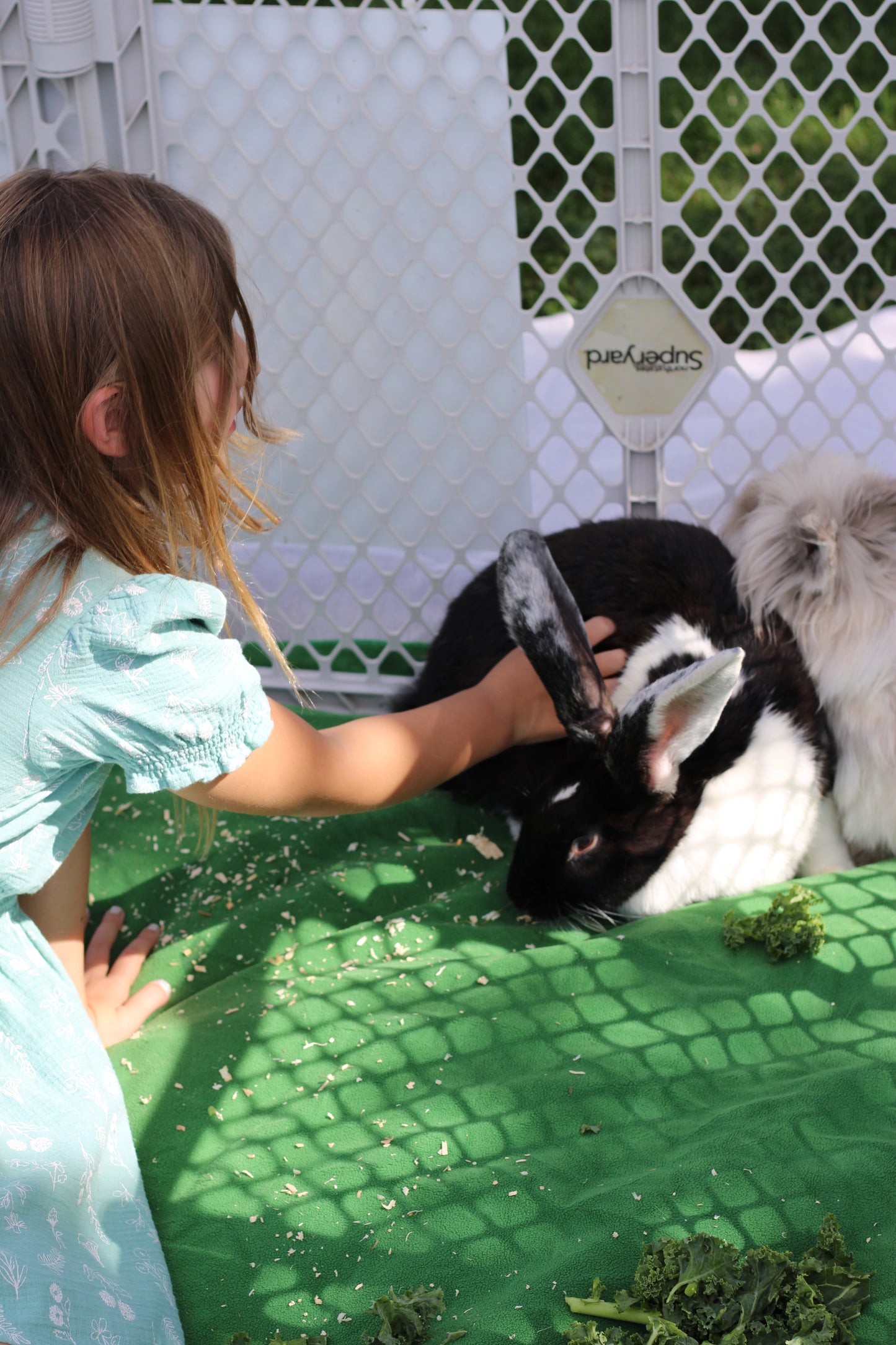 Billion-hare Birthdays