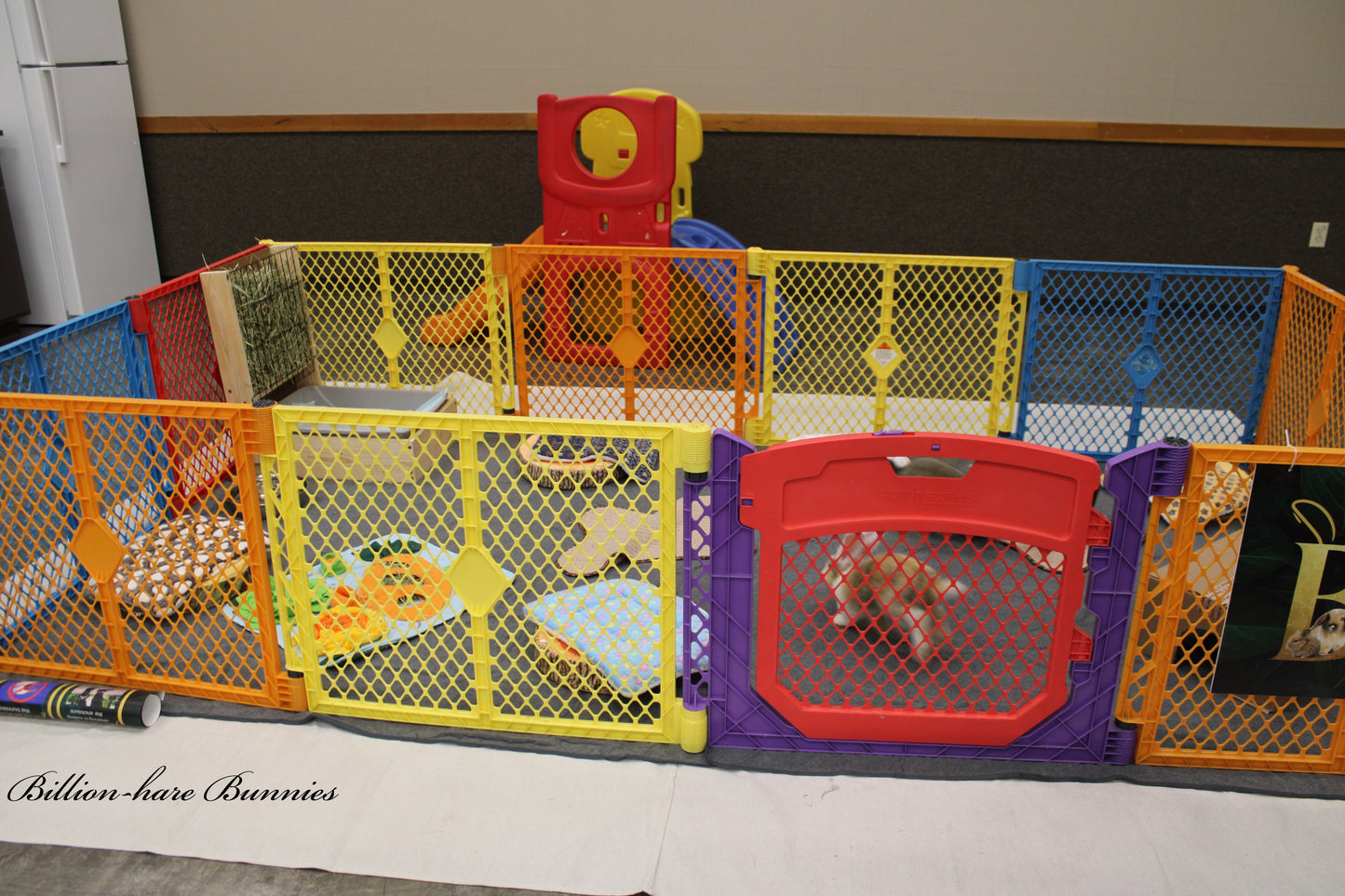 Billion-hare Bubbly Hour