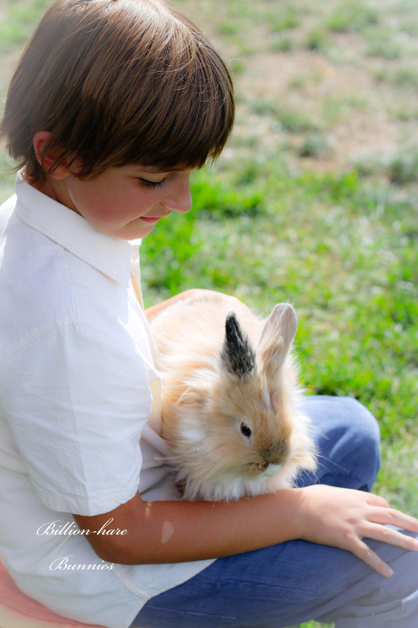 Add-on: Billion-hare Bunnies photo sessions