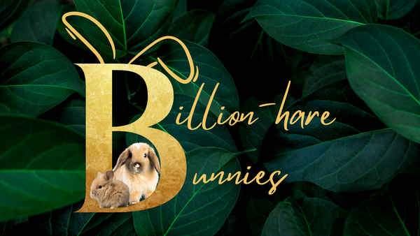 Billion-hare Bunnies